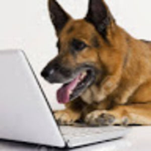 Meet your Posher, Dog